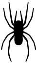 Spider Clipart