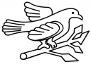 Dove Clipart