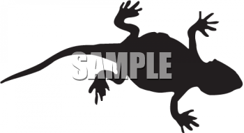 Reptile Clipart