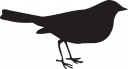 Bird Clipart