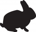 Rabbit Clipart