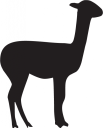 Llama Clipart