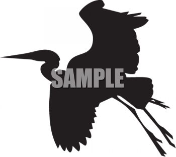 Bird Clipart