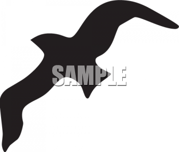 Bird Clipart