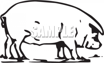 Pig Clipart