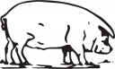 Pig Clipart