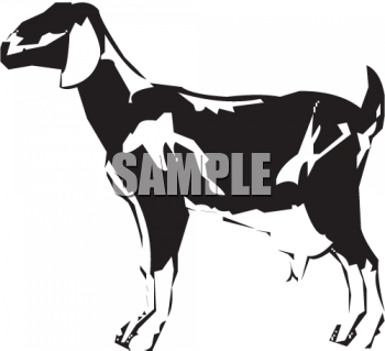 Goat Clipart