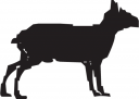 Goat Clipart