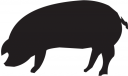 Pig Clipart