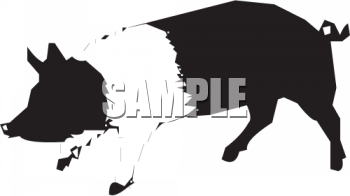 Pig Clipart