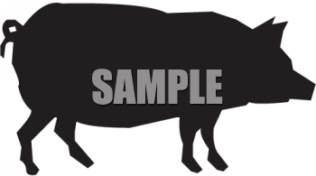 Pig Clipart