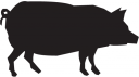 Pig Clipart