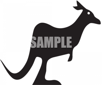 Kangaroo Clipart