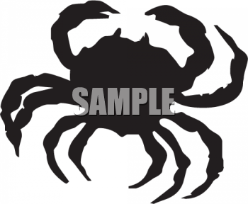 Spider Clipart