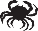 Spider Clipart