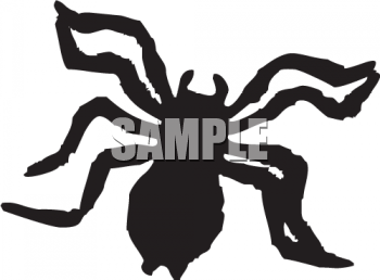 Spider Clipart