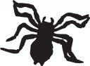 Spider Clipart