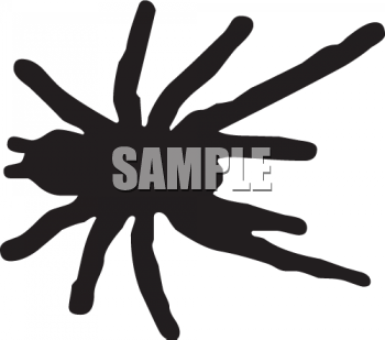 Spider Clipart