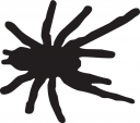 Spider Clipart