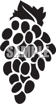 Grape Clipart