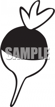 Turnip Clipart