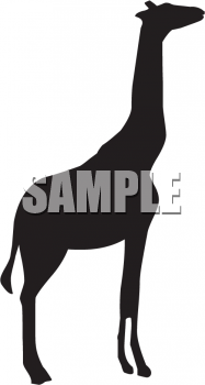 Giraffe Clipart