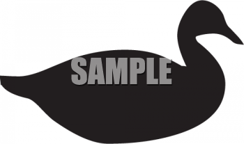 Duck Clipart