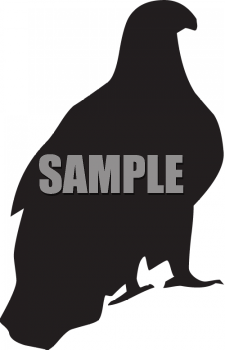 Eagle Clipart