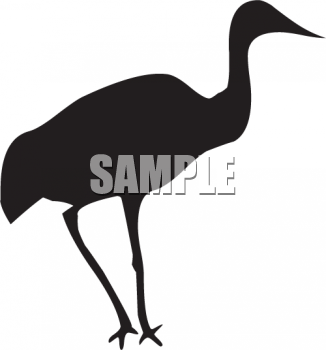 Flamingo Clipart