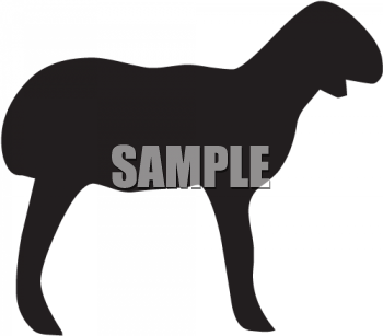 Sheep Clipart