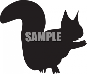 Squirrel Clipart