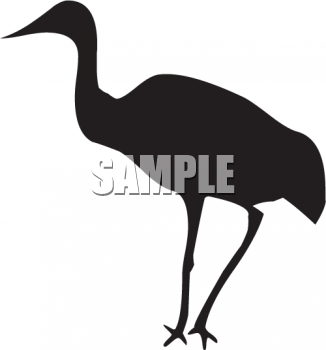 Flamingo Clipart