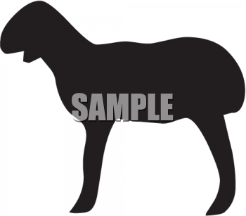 Sheep Clipart