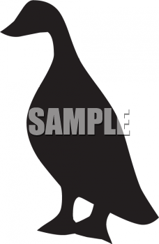 Duck Clipart