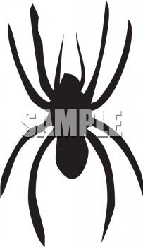 Spider Clipart