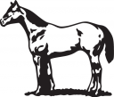 Horse Clipart