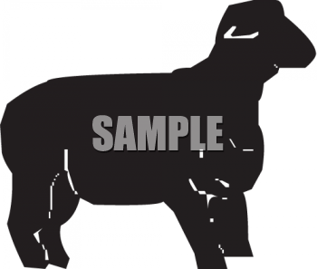 Sheep Clipart