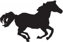 Horse Clipart