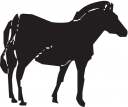 Horse Clipart