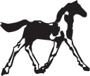 Horse Clipart