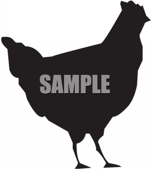 Chicken Clipart