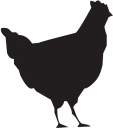 Chicken Clipart