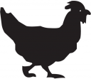 Chicken Clipart