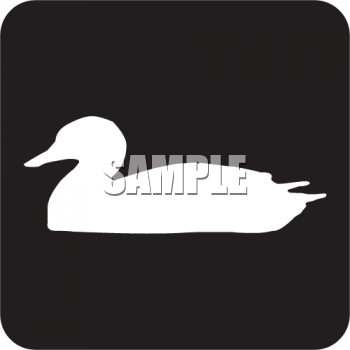 Duck Clipart