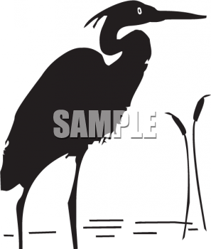 Flamingo Clipart