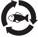 Fish Clipart