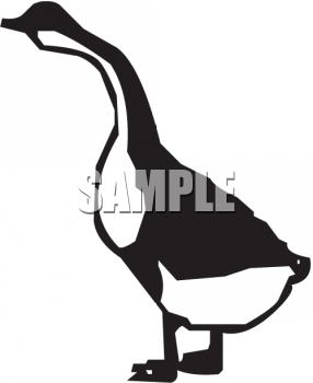 Duck Clipart