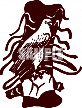 Falcon Clipart