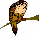 Bird Clipart