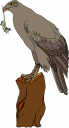 Falcon Clipart